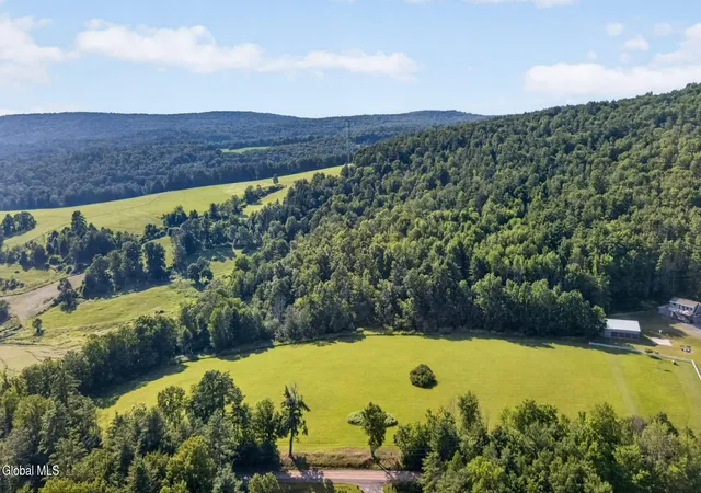 Photo 3 of Sale Pending at L1 Grange Hall Rd, Franklin, NY 13775 | MLS# 202622131 | Listing updated on 2026-09-04