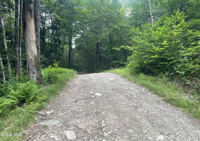 2nd image of Lot 2114 Old Town Wy, Stephentown, NY 12168 | MLS# 202622218