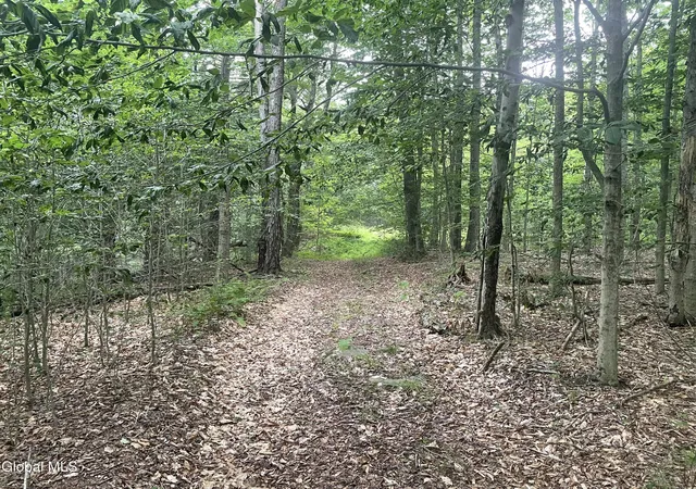 3rd image of Lot 2114 Old Town Wy, Stephentown, NY 12168 | MLS# 202622218