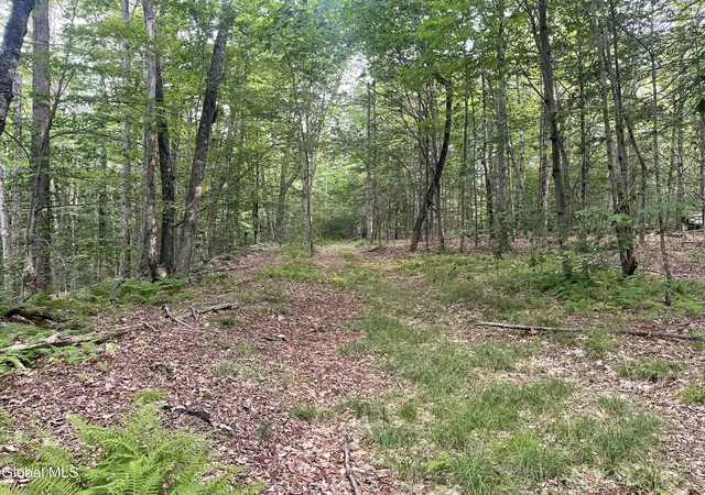 4th image of Lot 2114 Old Town Wy, Stephentown, NY 12168 | MLS# 202622218