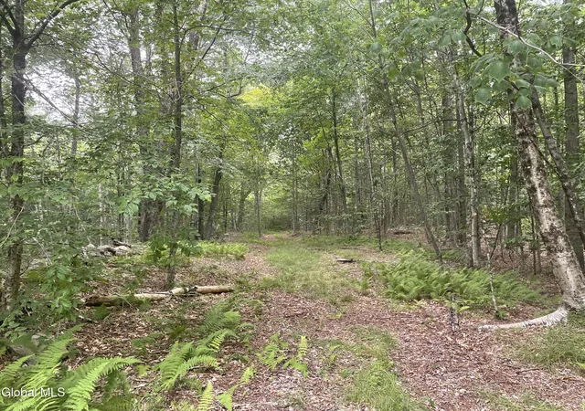 5th image of Lot 2114 Old Town Wy, Stephentown, NY 12168 | MLS# 202622218