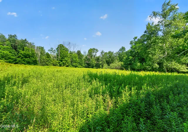 3rd image of 201 Presbyterian Hill Rd #Lot 1, Stephentown, NY 12168 | MLS# 202622162