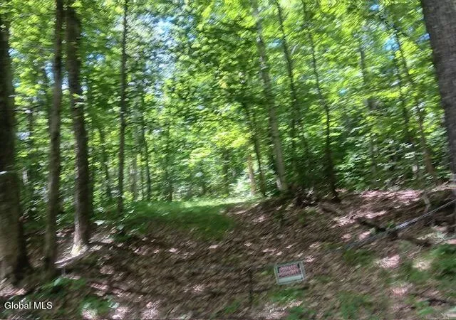 Photo 1 of Land for sale at 357 Norton Rd, Schenevus, NY 12155 | MLS# 202622244 | Listing updated on 2026-07-21