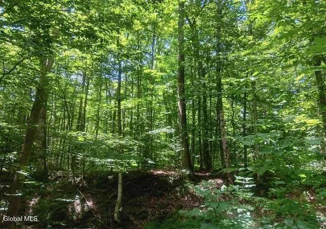 Photo 2 of Land for sale at 357 Norton Rd, Schenevus, NY 12155 | MLS# 202622244 | Listing updated on 2026-07-21