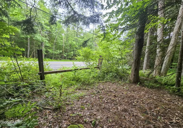 Photo 3 of Land for sale at L13 New York 29a, Stratford, NY 13470 | MLS# 202622460 | Listing updated on 2026-09-10