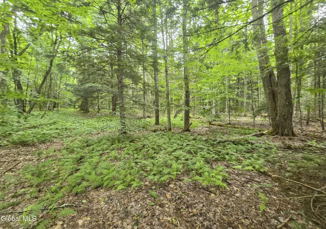 Photo 3 of Land for sale at L13 New York 29a, Stratford, NY 13470 | MLS# 202622460 | Listing updated on 2026-09-10