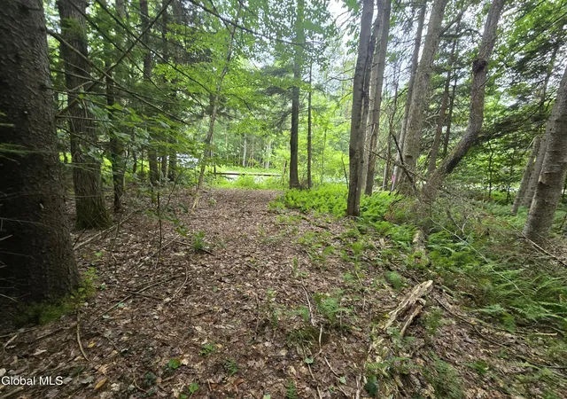 Photo 4 of Land for sale at L13 New York 29a, Stratford, NY 13470 | MLS# 202622460 | Listing updated on 2026-09-10