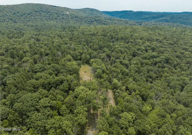 22nd image of 276 E Hill Rd, Austerlitz, NY 12017 | MLS# 202622286