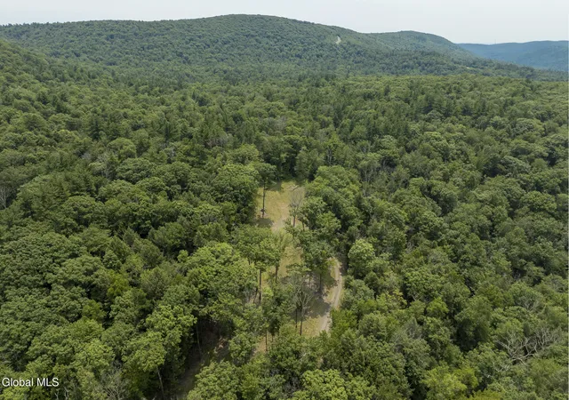 3rd image of 276 E Hill Rd, Austerlitz, NY 12017 | MLS# 202622286