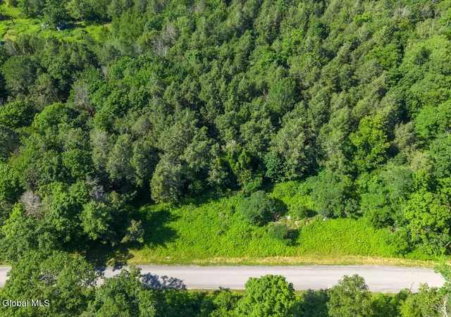 Photo 1 of Land for sale at 253 Armlin Hl Rd, Middleburgh, NY 12122 | MLS# 202622384 | Listing updated on 2026-08-28