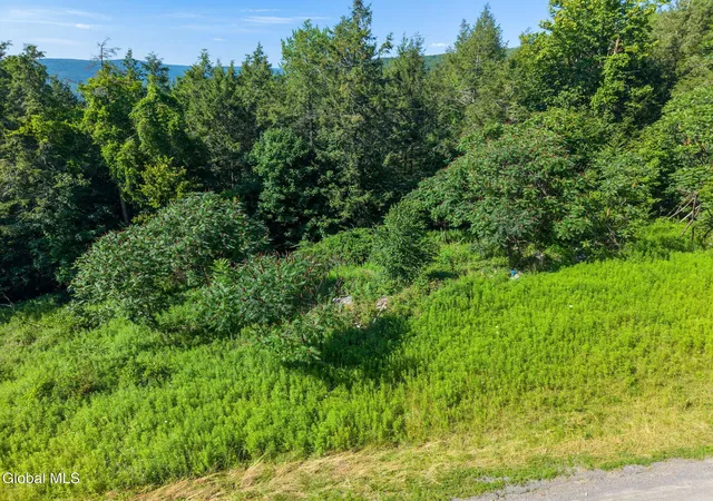 Photo 3 of Land for sale at 253 Armlin Hl Rd, Middleburgh, NY 12122 | MLS# 202622384 | Listing updated on 2026-08-28