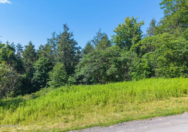 Photo 4 of Land for sale at 253 Armlin Hl Rd, Middleburgh, NY 12122 | MLS# 202622384 | Listing updated on 2026-08-28