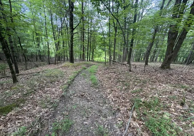 16th image of 0 Malden St, Nassau, NY 12123 | MLS# 202622282