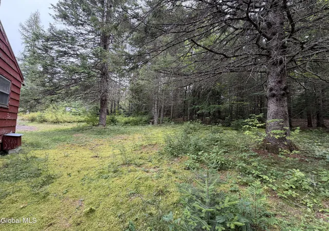 13th image of 1826 Blue Ridge Rd, North Hudson, NY 12855 | MLS# 202622857
