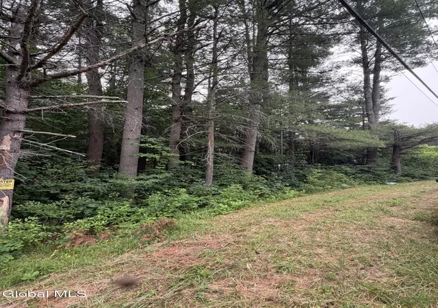1st image of L1 Nine Mile Tree Rd, Mayfield, NY 12117 | MLS# 202622507