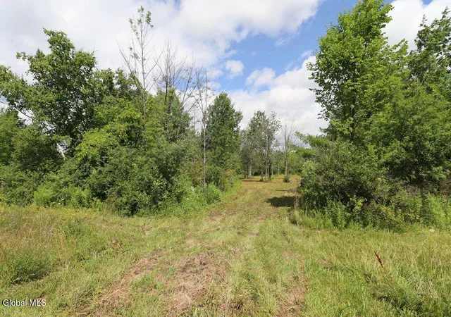 2nd image of 468 Middle Rd, Delanson, NY 12053 | MLS# 202622448