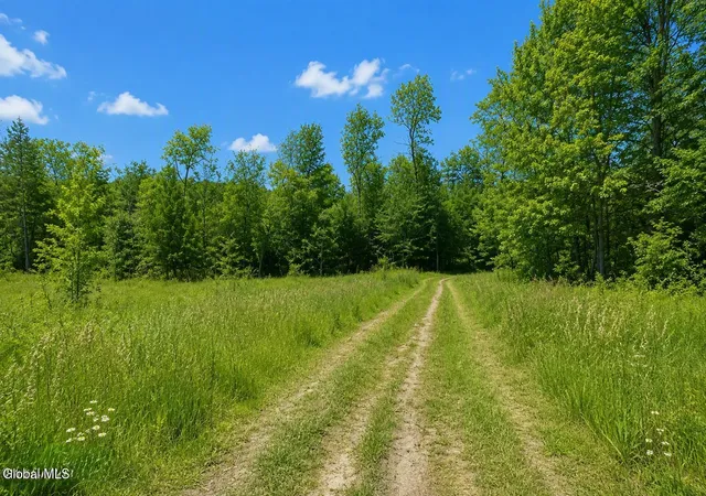 Photo 3 of Land for sale at L111 S Clement Ave, Albany, NY 12206 | MLS# 202622526 | Listing updated on 2026-07-24