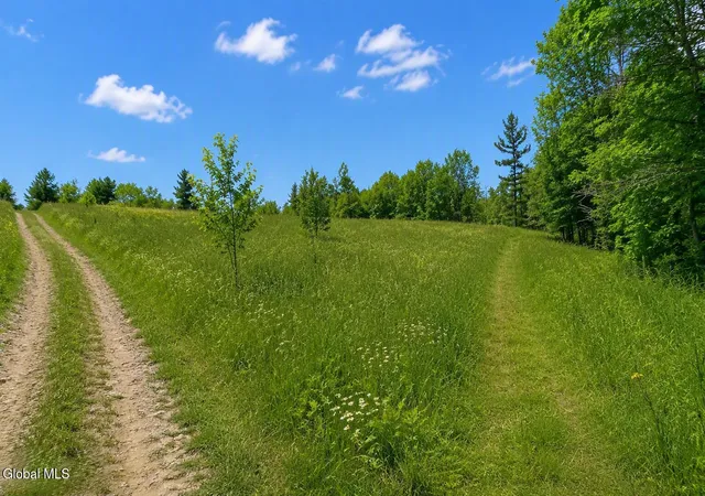 Photo 4 of Land for sale at L111 S Clement Ave, Albany, NY 12206 | MLS# 202622526 | Listing updated on 2026-07-24
