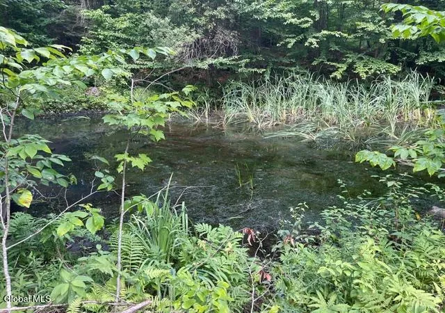 Photo 3 of House for sale at 787 Stoney Lonesome Rd, Crown Point, NY 12928 | MLS# 202622631 | Listing updated on 2026-07-27