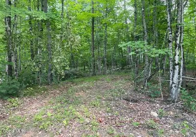 Photo 4 of House for sale at 787 Stoney Lonesome Rd, Crown Point, NY 12928 | MLS# 202622631 | Listing updated on 2026-07-27