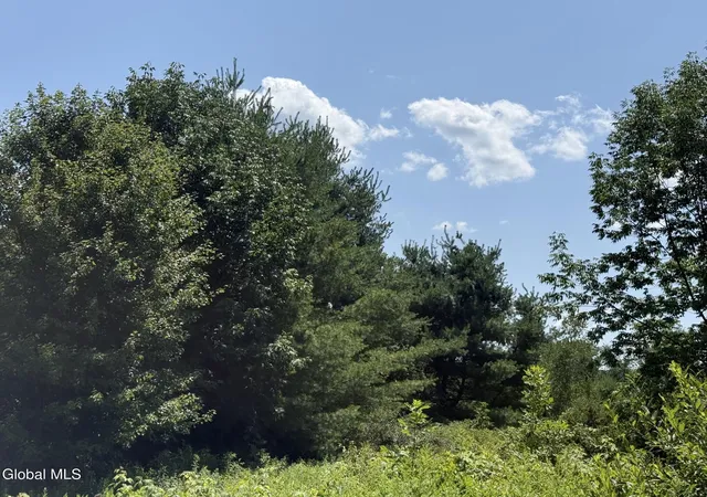 image of 6192 New York 22, Salem, NY 12865 | MLS# 202622712