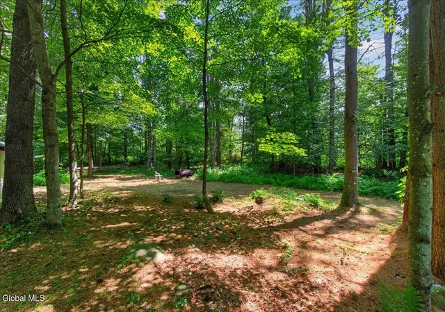 48th image of 83 Allen Rd, Porter Corners, NY 12859 | MLS# 202622754