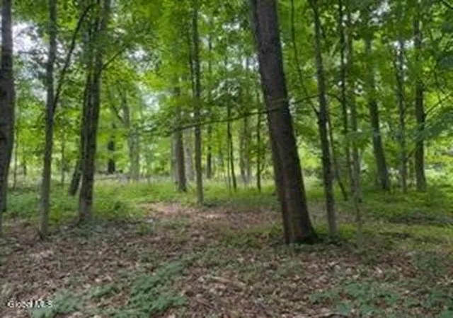 1st image of 5 Frasier Rd, Greenfield Center, NY 12833 | MLS# 202623144