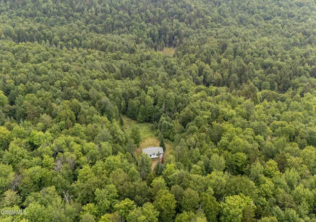 Photo 3 of Land for sale at 724 Bartman Rd, Johnsburg, NY 12843 | MLS# 202623047 | Listing updated on 2026-08-03