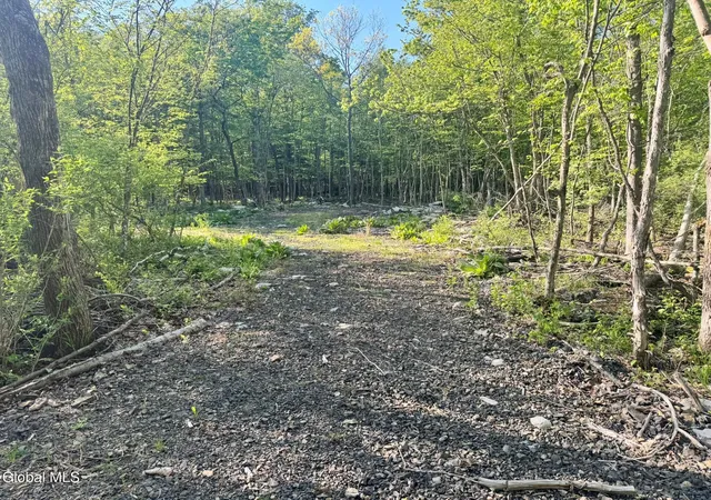 15th image of L 1 48 Beaver Dam Rd, New Scotland, NY 12186 | MLS# 202622875