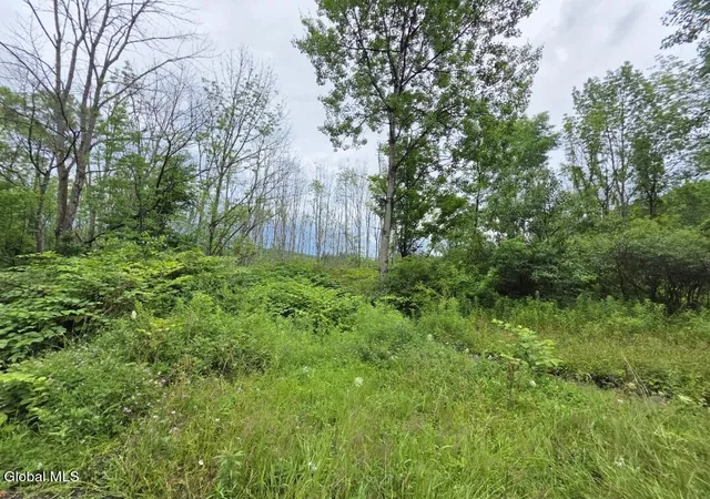 Photo 1 of Sale Pending at L2803 Halbert Hl Rd, Butternuts, NY 13843 | MLS# 202623026 | Listing updated on 2026-08-17