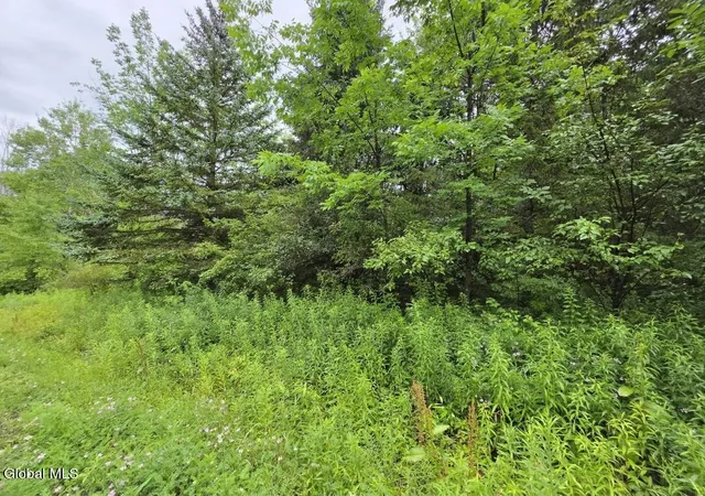 Photo 2 of Sale Pending at L2803 Halbert Hl Rd, Butternuts, NY 13843 | MLS# 202623026 | Listing updated on 2026-08-17