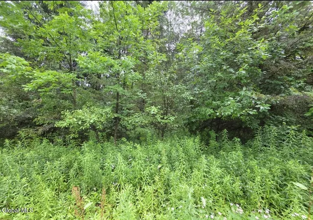 Photo 3 of Sale Pending at L2803 Halbert Hl Rd, Butternuts, NY 13843 | MLS# 202623026 | Listing updated on 2026-08-17