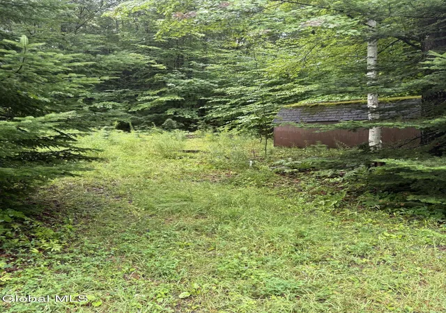 2nd image of 129 Mud St, Athol, NY 12810 | MLS# 202623062