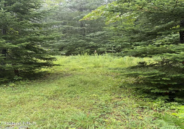 Photo 3 of Land for sale at 129 Mud St, Athol, NY 12810 | MLS# 202623062 | Listing updated on 2026-10-05