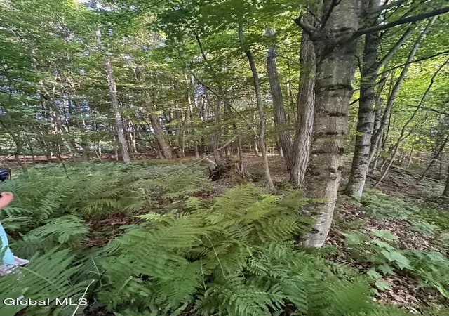 Photo 4 of Land for sale at 19 Porter Ml Rd, Crown Point, NY 12928 | MLS# 202622968 | Listing updated on 2026-07-30