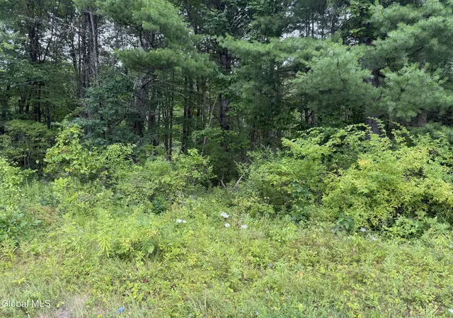 Photo 2 of Sale Pending at L New York 32 #15, Greenville, NY 12083 | MLS# 202622945 | Listing updated on 2026-08-15