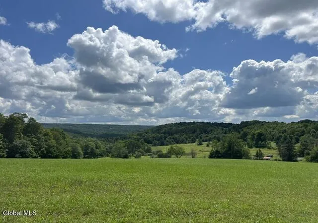 2nd image of 359 Baldwin Rd, Summit, NY 12175 | MLS# 202623090