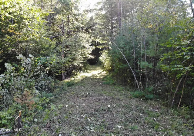1st image of L8 Wrights Farm Rd, Bolton Landing, NY 12814 | MLS# 202623578
