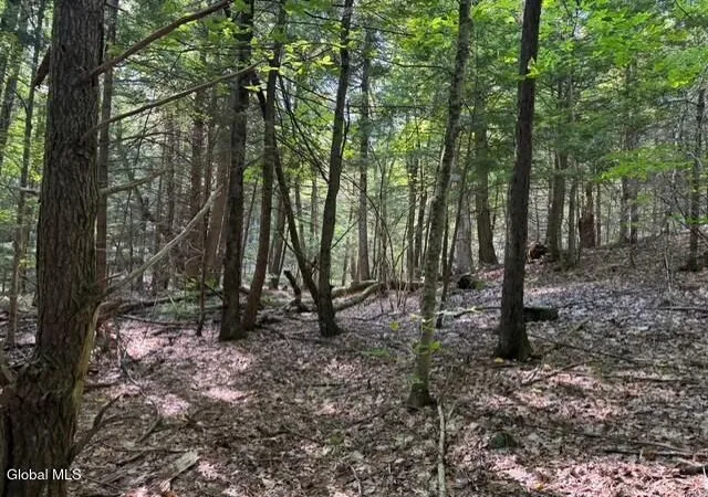 Photo 3 of Land for sale at L8 Wrights Farm Rd, Bolton Landing, NY 12814 | MLS# 202623578 | Listing updated on 2026-09-13