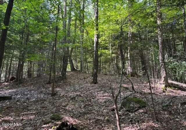 Photo 3 of Land for sale at L8 Wrights Farm Rd, Bolton Landing, NY 12814 | MLS# 202623578 | Listing updated on 2026-09-13