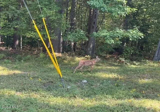 Photo 4 of Land for sale at L8 Wrights Farm Rd, Bolton Landing, NY 12814 | MLS# 202623578 | Listing updated on 2026-09-13