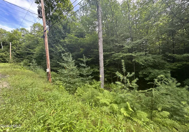Photo 3 of Land for sale at L52 Iroquois Trl, North Creek, NY 12853 | MLS# 202623125 | Listing updated on 2026-08-03