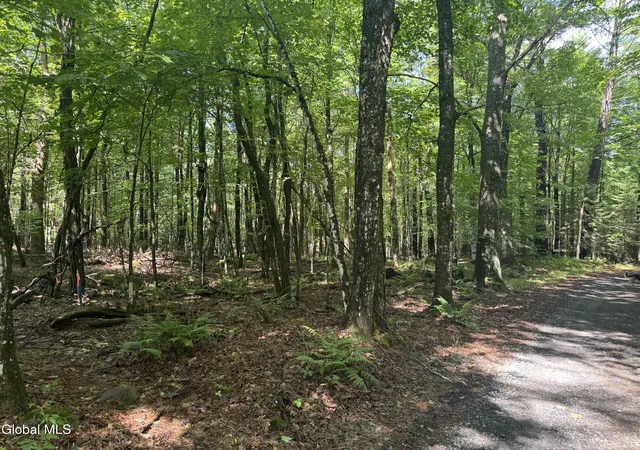 1st image of 1338 River Rd, North Creek, NY 12853 | MLS# 202623129