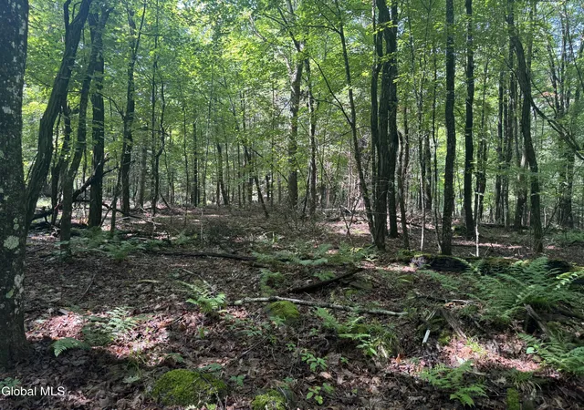 2nd image of 1338 River Rd, North Creek, NY 12853 | MLS# 202623129