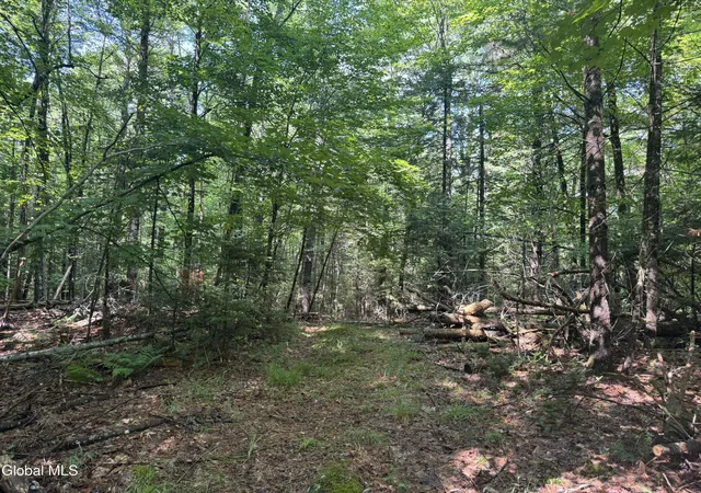 Photo 3 of Sale Pending at 1338 River Rd, North Creek, NY 12853 | MLS# 202623129 | Listing updated on 2026-08-11
