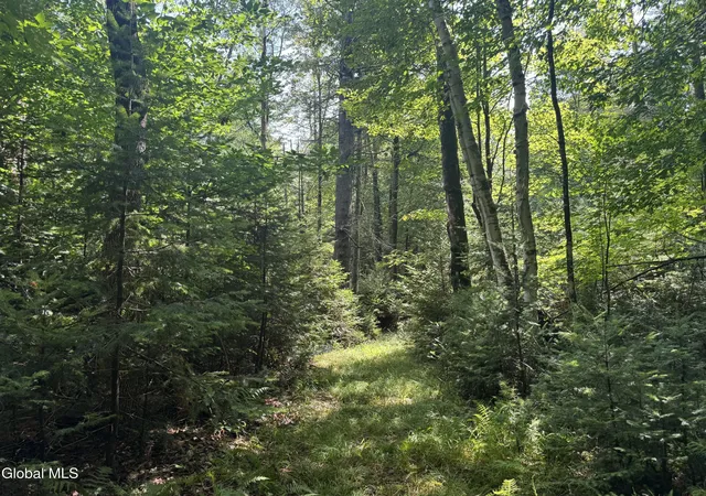 Photo 3 of Sale Pending at 1338 River Rd, North Creek, NY 12853 | MLS# 202623129 | Listing updated on 2026-08-11