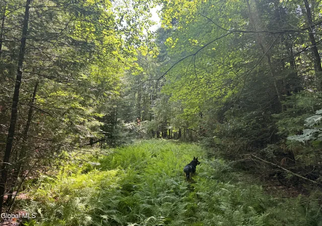Photo 4 of Sale Pending at 1338 River Rd, North Creek, NY 12853 | MLS# 202623129 | Listing updated on 2026-08-11