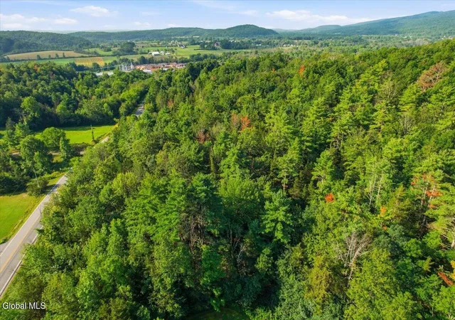 11th image of L 31010 County Route 9a, Whitehall, NY 12887 | MLS# 202623929