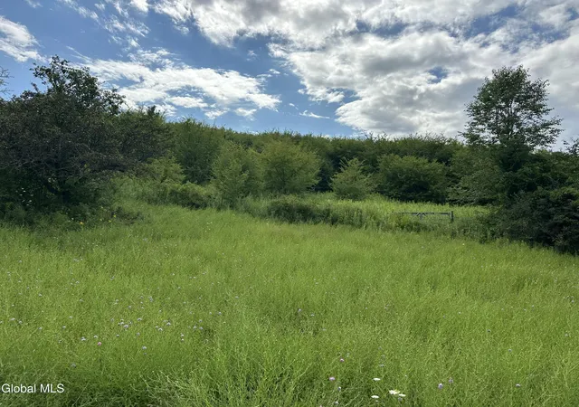 1st image of L53 New York 66, Chatham, NY 12115 | MLS# 202623288