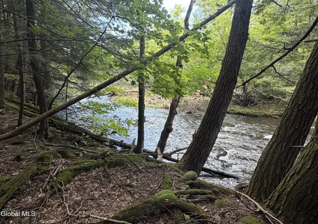 Photo 3 of Sale Pending at 0 Laurie Ln, Cairo, NY 12413 | MLS# 202623653 | Listing updated on 2026-08-28